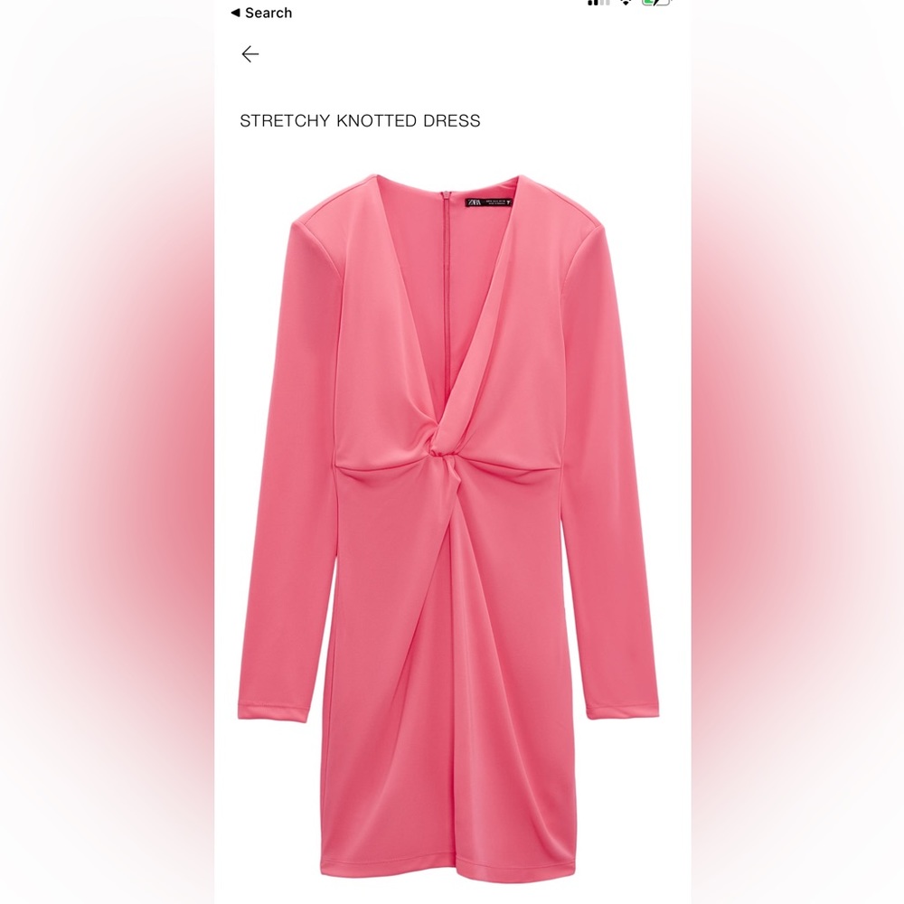 Zara dress